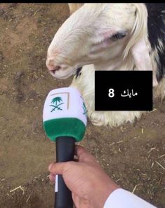 a hand holding a microphone in front of a goat