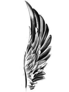 an image of a black and white feather on a computer screen, with the text