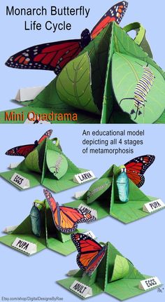 an origami butterfly is on display with instructions to make it out of paper