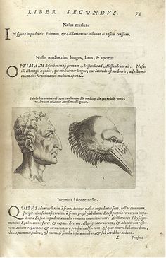 an old book with two drawings of birds on the page and one drawing of a man's head