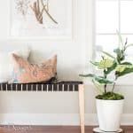 there is a potted plant next to a radiator in the living room