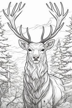 a deer with large antlers stands in the woods, surrounded by pine trees and snow