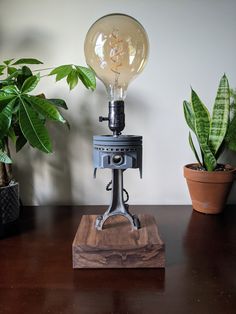 a lamp sitting on top of a wooden table next to a potted green plant