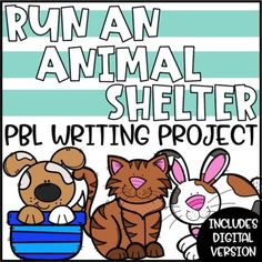 an animal shelter writing project with three animals and a dog in the tub, on top of