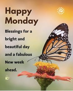 a butterfly sitting on top of a flower with the words happy monday written below it