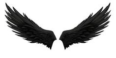 two black wings on a white background