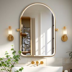 a bathroom with a sink, mirror and potted plant