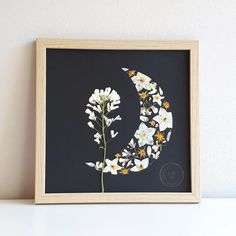 a white flower sitting on top of a table next to a black background and a wooden frame