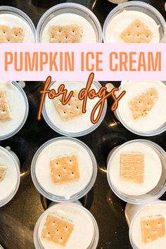 pumpkin ice cream for dogs in plastic containers with marshmallows on the top