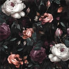 a bunch of flowers that are on a black background with pink and white roses in the middle