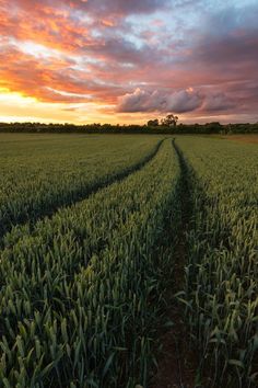 the sun is setting over an open field