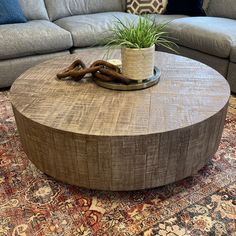 a round wooden table with a plant on it in front of a couch and rug