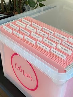 a plastic container with pink file folders and name labels on the lid, sitting next to a potted plant