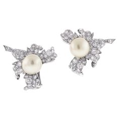 Experience the epitome of luxury with Van Cleef & Arpels Diamond Leaf South Sea Pearl Earrings. These breathtaking earrings combine the timeless elegance of South Sea pearls with the dazzling brilliance of expertly set diamonds, creating a masterpiece of fine jewelry. Each earring features a radiant South Sea button pearl, measuring approximately 12mm. Renowned for their luminous quality and unparalleled luster, these pearls exude a natural beauty that captivates the eye. Accentuating the pearls are 135 meticulously set diamonds, with a total weight of 4 carats. These diamonds are intricately arranged in a delicate leaf motif, showcasing the exceptional craftsmanship and attention to detail that Van Cleef & Arpels is celebrated for. The diamonds' exquisite sparkle enhances the natural radi Van Cleef Arpels Diamond, South Sea Pearls Earrings, Van Cleef & Arpels, Van Cleef And Arpels, Sea Pearl, South Seas, Sea Pearls, South Sea Pearls, Van Cleef Arpels