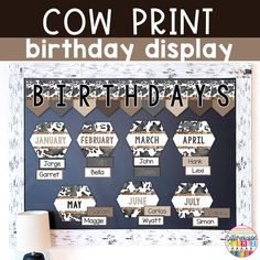 a cow print birthday display in a white frame with black and brown decorations on it