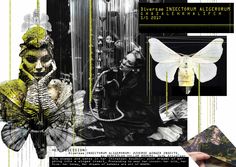 a collage of different images and text about the insect species in this image are black, white, and green