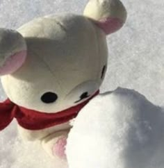 a white teddy bear in the snow wearing a red scarf