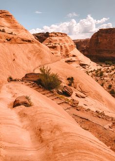 there is a small plant growing out of the sand in this desert area that looks like it's going to grow