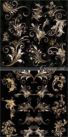 gold and black wallpaper with floral designs