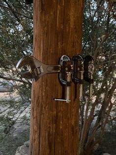 a wooden pole with two locks on it and some tree branches in the back ground