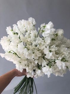 a hand holding a bouquet of white flowers