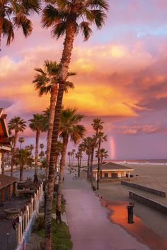 palm trees line the beach at sunset with a rainbow in the background