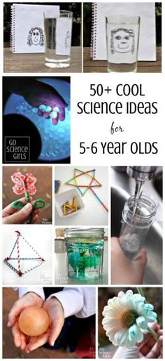 Stem Learning Activities, Science Experience, Science Ideas, Cool Science Experiments, Kindergarten Science