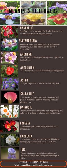 an image of flowers that are in different colors and sizes, with the words meaningss of