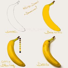 three bananas are shown in different stages of ripeness, with the names below them