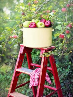 an old red ladder with apples in it