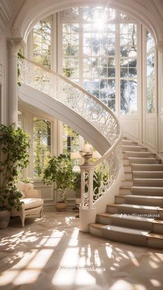 a staircase in a house with large windows and potted plants on either side of the stairs