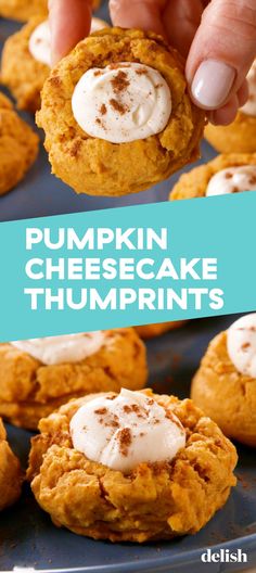 pumpkin cheesecake thumbprints on a blue plate with white frosting in the middle