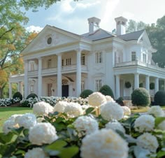 a large white house surrounded by trees and flowers