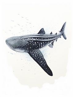 a drawing of a whale with spots on it's body and tail, swimming in the water