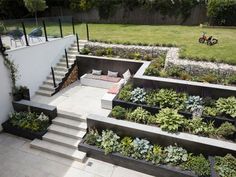 an outdoor garden area with stairs and plants