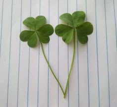 three leaf clovers laying on top of each other