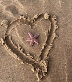 a starfish in the shape of a heart on sand