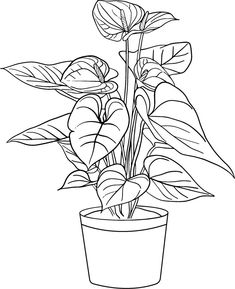 a potted plant with leaves and flowers in it on a white background coloring page