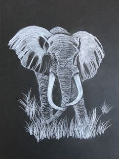 an elephant drawn on a blackboard with white chalk