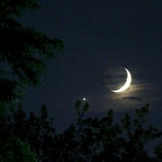 the moon is seen through some trees at night