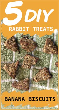 the cover of 5 diy rabbit treats with banana biscuits on it and an orange background