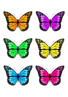 six different colored butterflies on a white background