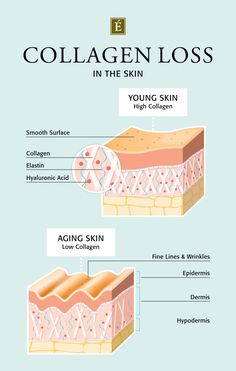 How To Make Your Skin Feel Stronger And Thicker | Eminence Organic Skin Care Skin Anatomy, Eminence Organic Skin Care, Skin Care Business, Skin Aesthetics, Collagen Benefits, Skin Science, Skin Collagen, Young Skin