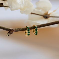 E M E R A L D ∙ H U G G I E S Thinking of adding a splash of color to your outfit? Go green with our timeless Huggie Earrings encased with exquisite Emerald stones. * Material: High Quality Solid 925 Sterling Silver  * Finish: Sterling Silver ∙ 18K Gold  * Featuring 10mm Pave CZ Emerald Huggie Hoops  * Sold as a pair O T H E R ∙ I N F O R M A T I O N * All items are nicely packaged ready to gift in elegant jewelry boxes. Our jewelry boxes are reusable and recyclable ♡ * Have any questions or nee Unique Hoop Earrings, Earring Inspo, Bridal Jewelry Vintage, Dainty Hoop Earrings, Earrings Trendy, H U, Trendy Earrings, Emerald Stone, Huggie Earrings