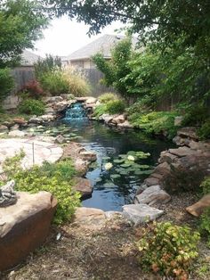 there is a small pond in the yard