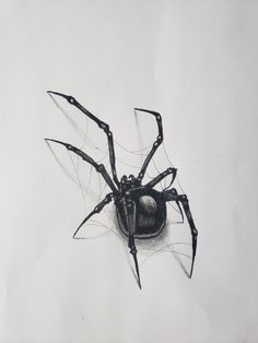 a black and white drawing of a spider