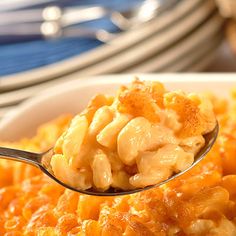 a spoon full of macaroni and cheese on a plate