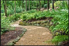 a stone path in the middle of a forest