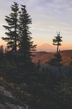 the sun is setting in the mountains with trees on each side and snow capped mountain behind it