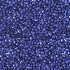 blueberries are shown in this close up photo